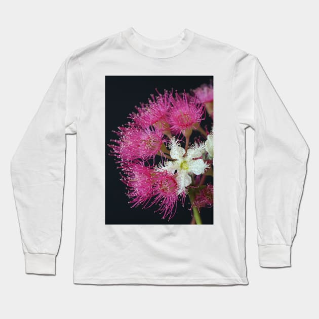 Brushbox Framed by Corymbia Ficifolia Long Sleeve T-Shirt by Michaelm43